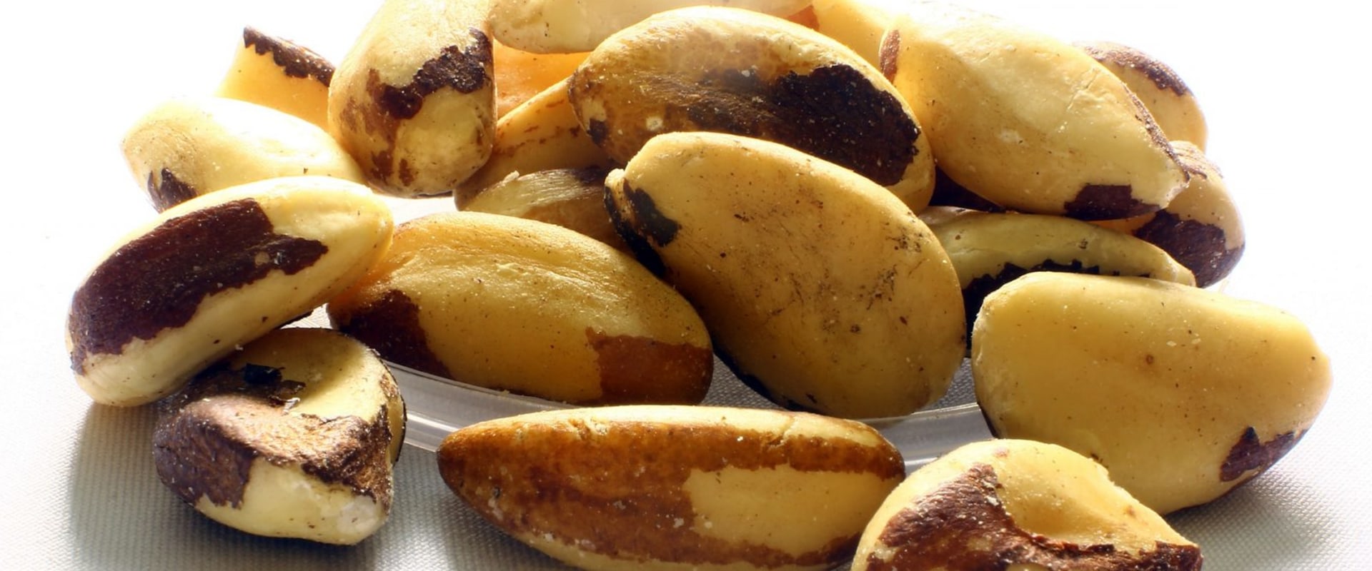 Why can't brazil nuts be farmed?