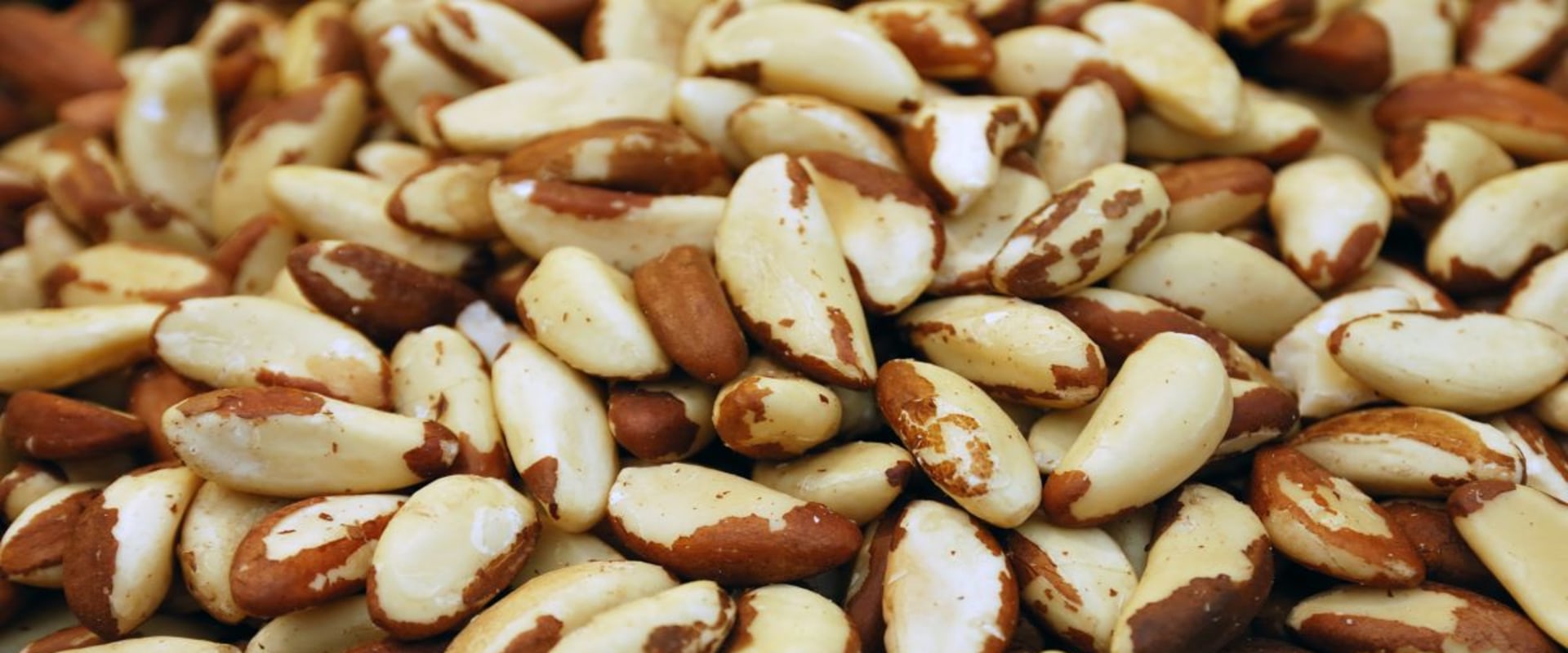 Why are there no more brazil nuts?