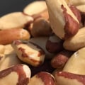 Where to buy brazil nuts in bulk?